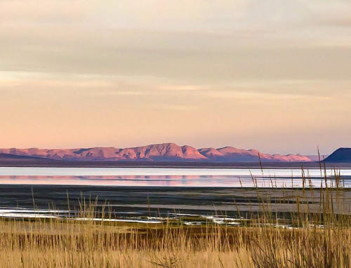 Tricycle article by Kathleen Dean Moore