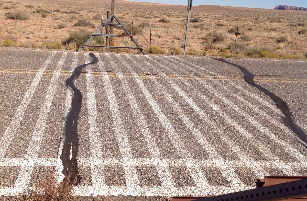 cattle road no crossing image